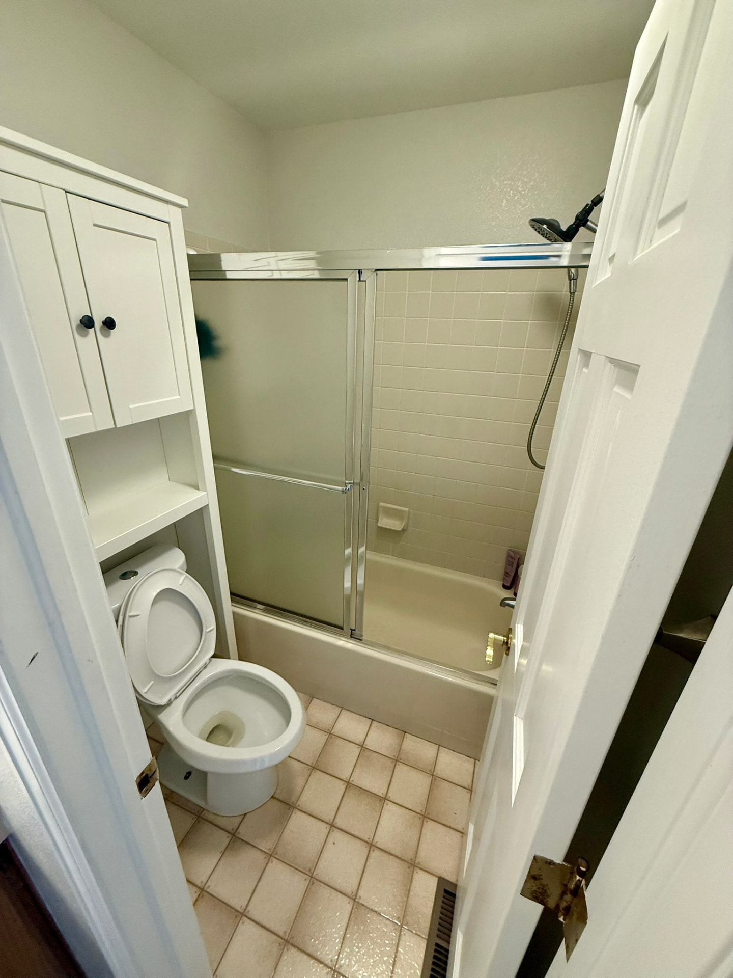 Original tub and shower enclosure before remodel